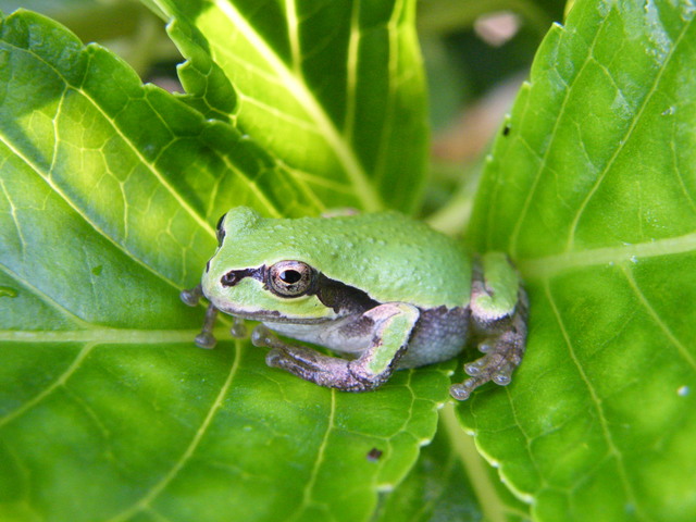 2010_10030013.JPG