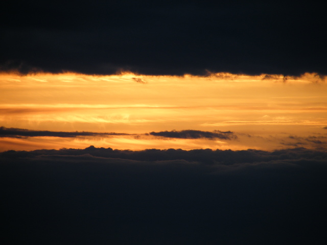 Love.R101114