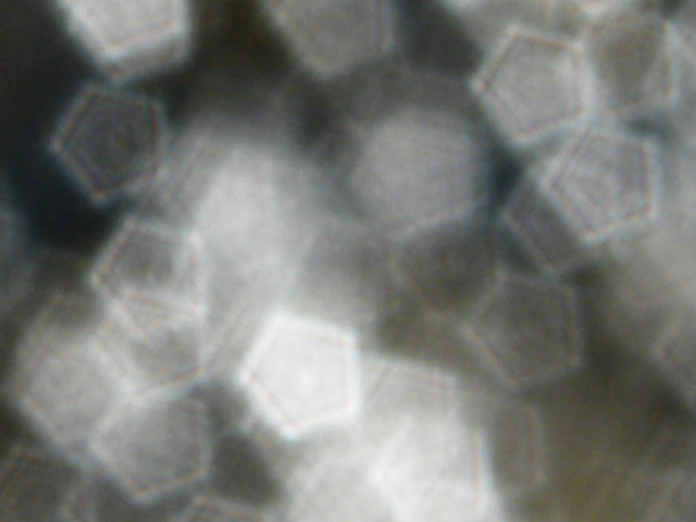 2013_10120184.JPG