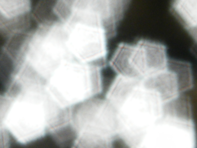 2013_10120205.JPG