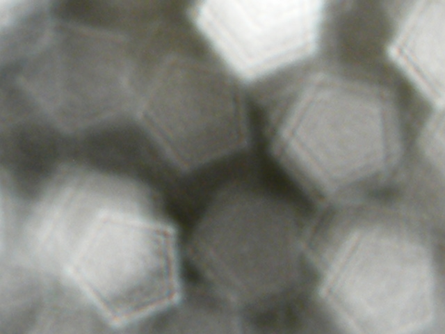 2013_10120218.JPG