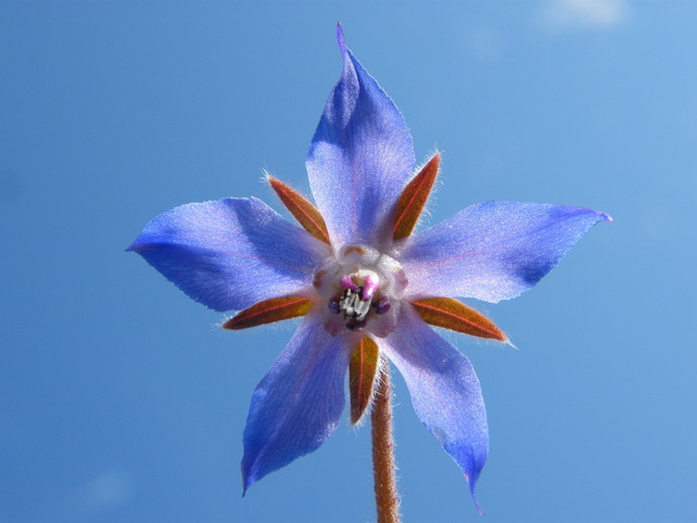 DSCF1669.JPG