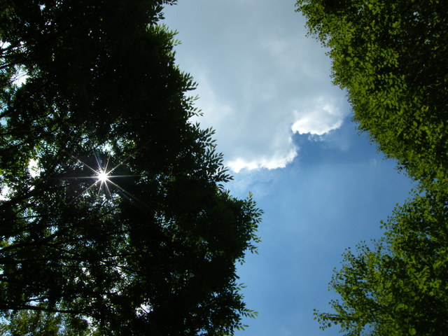 DSCF8201.JPG