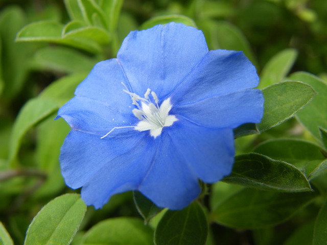 DSCF8848.JPG