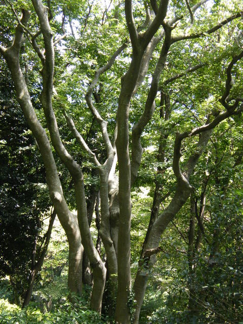 DSCF9001.JPG