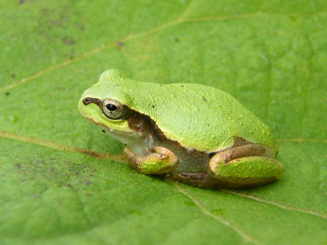 DSCF9692.JPG