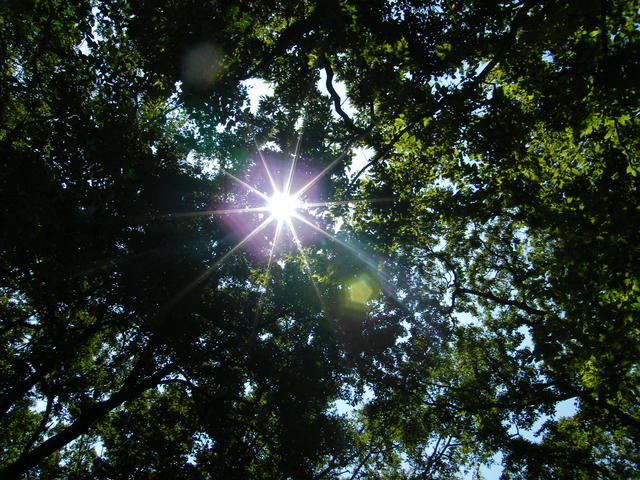 DSCF9815.JPG